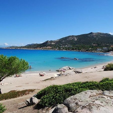 L'orangeraie Calvi centre à 300m de la plage et du port parking privé Exterior foto